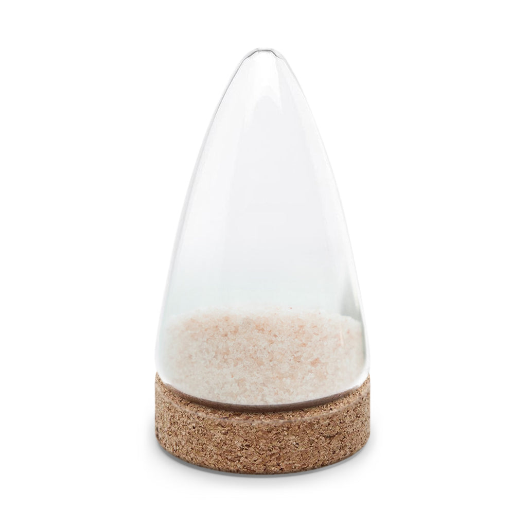 Fine Granulated Culinary Salt + Salt Shaker